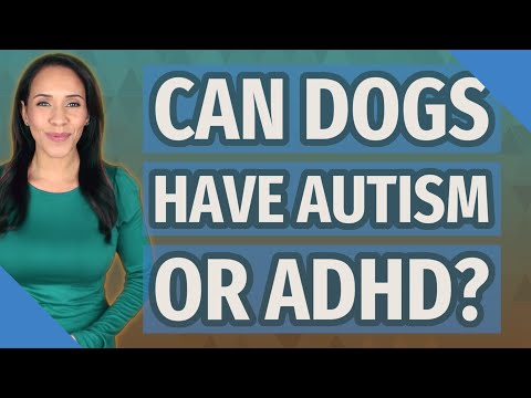 Can dogs have autism or ADHD?