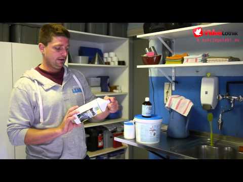 Jelle Roziers – Stars des Taubensports [ENG]