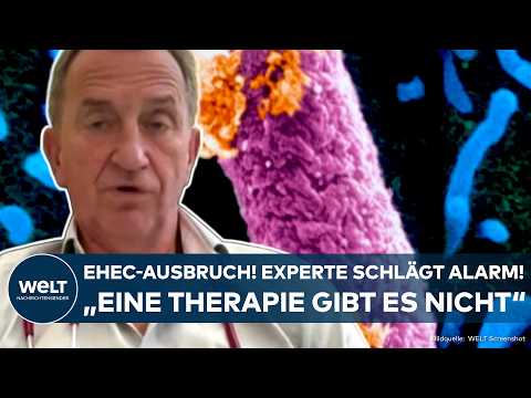 MECKLENBURG-VORPOMMERN: EHEC-Ausbruch! Experte warnt! "Dann wird die Gefahr noch größer"