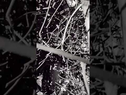 The Moon - Jean Tassy (prod. Konai)