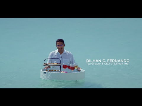 Tea Appreciation by the Beach