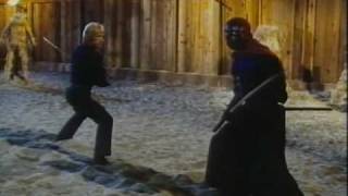Chuck Norris Karate vs Ninja