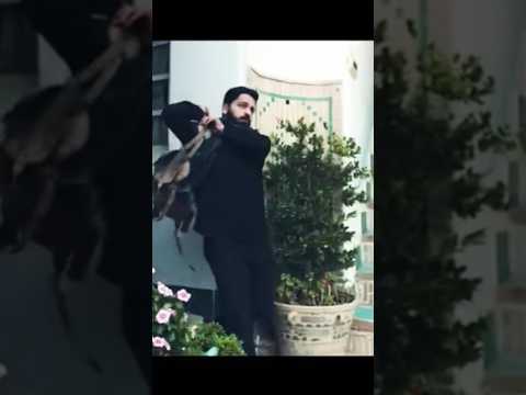 Delight Of Presence - Ali Fani | علی فانی ـ شوق حضور