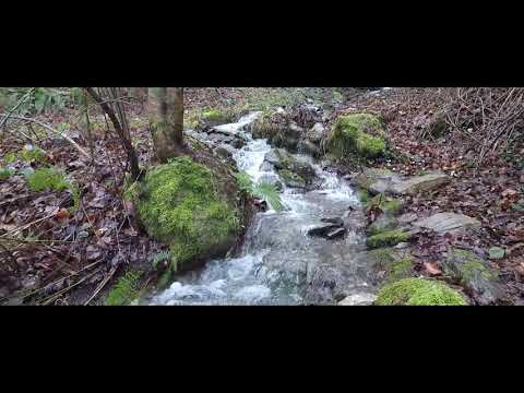 РОВЦА - ЗАВИЧАЈ И ЊЕГОВА ЉЕПОТА