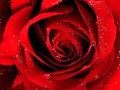 VALENTINES DAY: Mark Holden "Hey My Love" 1977