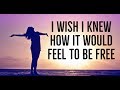 I Wish I Knew How It Would Feel To Be Free - Billy Taylor