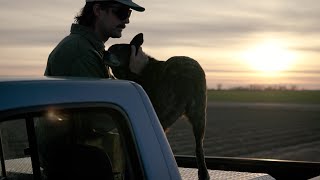 Dylan Earl - White Painted Trees video