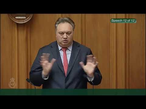 Local Government Regulatory Systems Amendment Bill - First Reading - Video 14