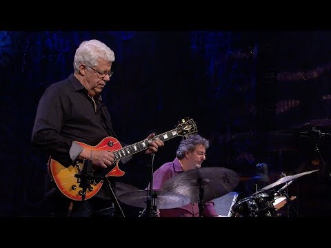 Trio da Paz | Insensatez (Tom Jobim) | Instrumental Sesc Brasil