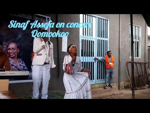 Sinaaf Asaffaa Qomookoo konsartii irratti