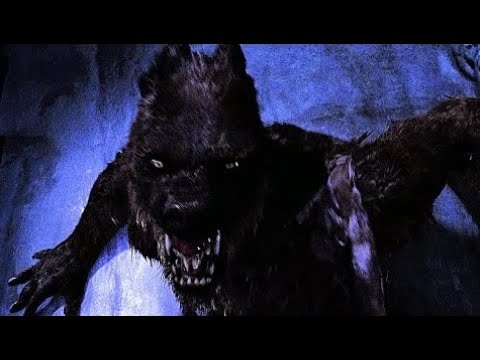 Brother of Anna Velkan becomes the werewolf Van Helsing Curse of the Warewolf