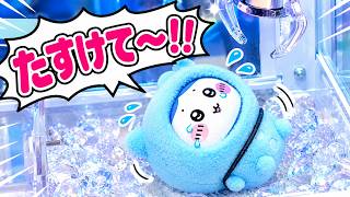 【ちいかわ】ハチワレがUFOキャッチャーにとじこめられた！！キュアアルカナといっしょにたすけだそう🛸名探偵プリキュアのクレーンゲームチャレンジ！