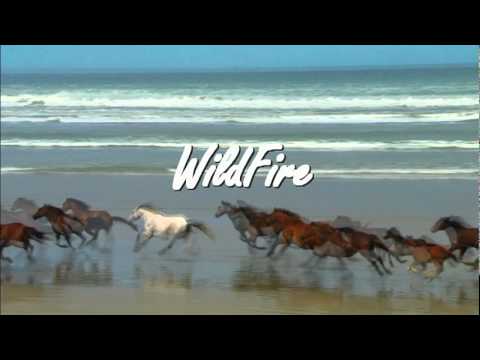 WildFire - Michael Martin Murphy - An Amazing Song!