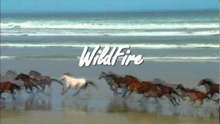 WildFire - Michael Martin Murphy - An Amazing Song!