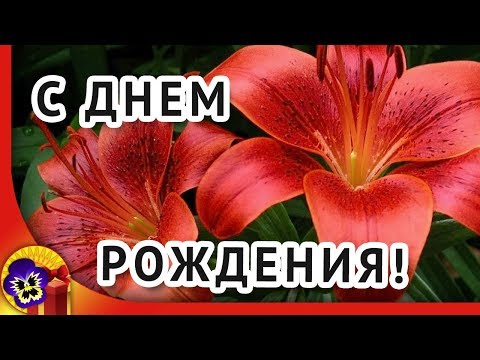 Красивое поздравление с днем рождения женщине 🌼 Музыкальное видео поздравление
