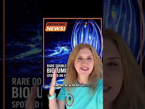 Florida Bioluminescence phenomenon! Promo code: GLOWGIRL10 = 10% off any bioluminescence tour at BK