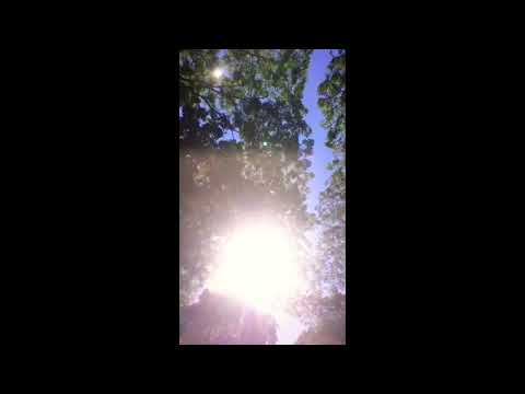 Experimental Video Art : 'Follow The Sun'