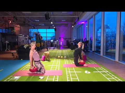 YIN YOGA "URVERTRAUEN" mit Johanna & Heike - ONLINE KURSE - ONLINE FITNESS