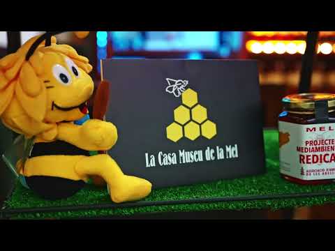 Motion Graphics Corporativo