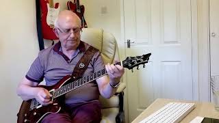 Leah - Roy Orbison - instrumental cover by Dave Monk