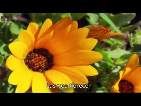 89b112323b62fdd40f00f8be127ac602