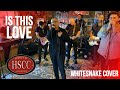 Is This Love 2022 WHITESNAKE Cover By The HSCC