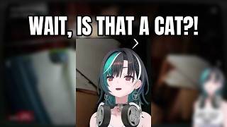 Horror Game Scream Scene Gets Interrupted by a Surprise Cat | Rindo Chihaya