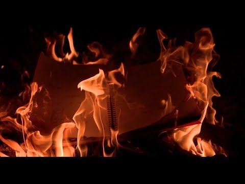 שקל - פרחים (וידאו) הופק ע״י תומר כץ