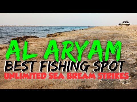 ABU DHABI,AL ARYAM NON STOP SEA BREAM STRIKES #90 @althomschannel #abudhabifishing #subscribe