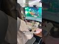 The CUTEST game you're NOT playing... that comes with a twist | Squirreled Away