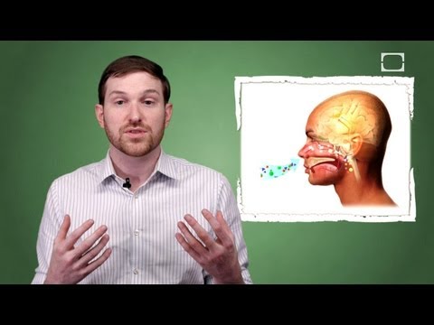 人工香精是如何工作的？ (How Do Artificial Flavors Work?)