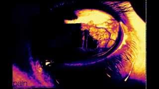 The Doors-The celebration of the lizard