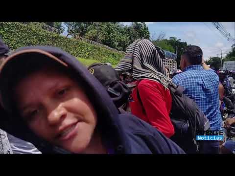 Campesinos de Baraya protestan por el incumplimiento del gobierno nacional en asignarle tierras