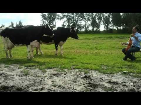 Adagio by Giovanni Battista Somis (1686-1763) pardessus de viole