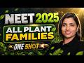NEET 2025 All Plant Families One Short NEET Biology Revision Ritu Rattewal Ma Am
