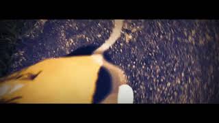 Download lagu Story wa || latar garing kari sukete mp3