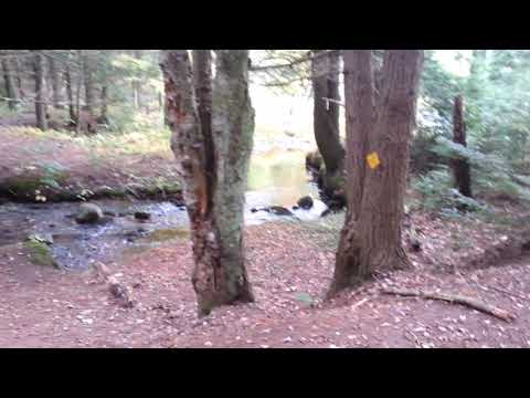 Buckman Brook Shelter, Bearsden State Park, Athol Ma