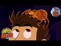 Chris Finds A Goliath Tarantula Happy Halloween New Compilation Wild Kratts