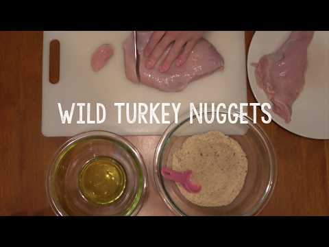 download lagu mp3 mp4 Frozen Turkey Nuggets, download lagu Frozen Turkey Nuggets gratis, unduh video klip Frozen Turkey Nuggets