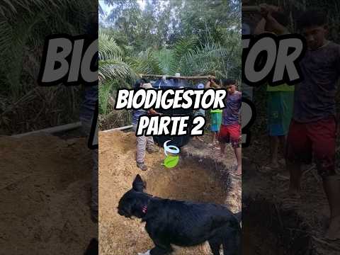 Biodigestor parte 2. Itanagra, Bahia. Sustentabilidade. jogue limpo com a natureza.