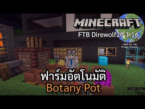AonGreyFox - [Minecraft FTB Direwolf20] Botany Pot : ฟาร์มอัตโนมัติที่ปลูกมันได้ทุกอย่าง!!!