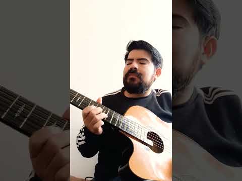 Las guitarras económicas no sirven