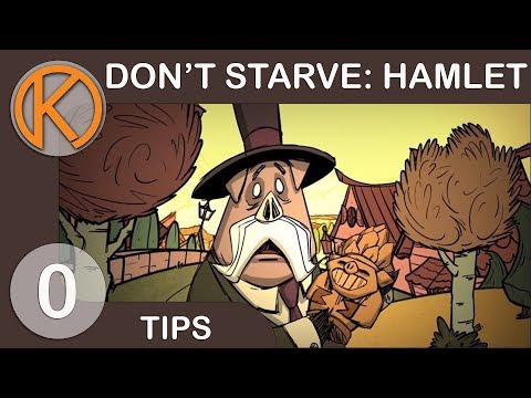 10 AWESOME Survival Tips For Don't Starve Hamlet