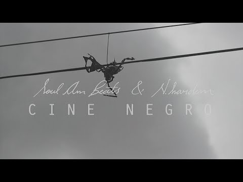 Video thumbnail for Perro de Ataque