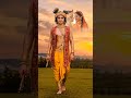 Rah Joyis Hu Tari Dwarka Dwarkadhish Status Krishna Radheradhe Love Shorts