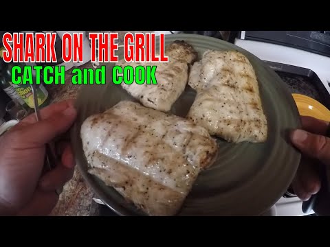 GRILLED SHARK CATCH AND COOK