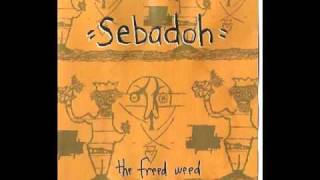 Sebadoh - New Worship