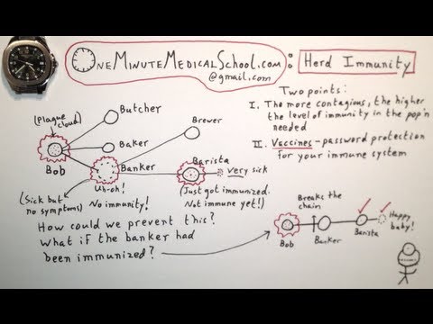 Herd Immunity - One Minute Medical School