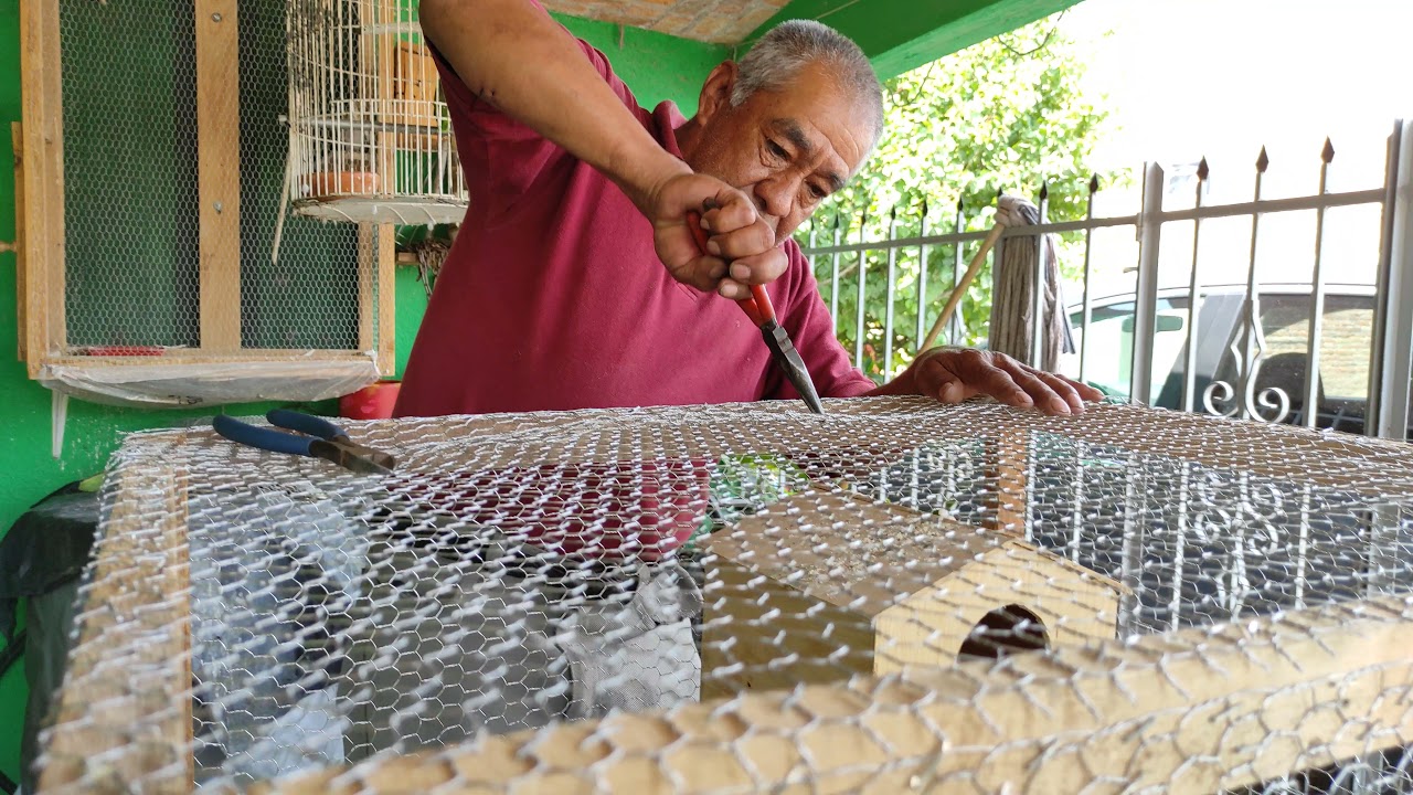Watch Don Gerardo haciendo jaulas para aves Now Don Gerardo haciendo jaulas para aves