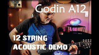 Video thumbnail for Godin A12 12-String // Acoustic - Electric Guitar Demo by Kaleidoscope School of Music